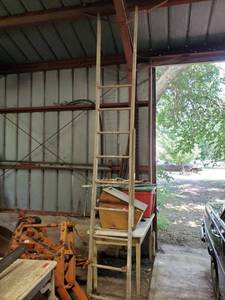 lot 1169 image: 11ft Wood Ladder