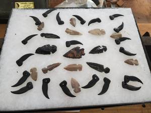 lot 174 image: Arrowheads and Plastic Shark Teeth