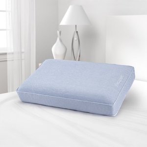 lot 73148 image: Beautyrest Silver Aquacool Memory Foam Pillow With Removable Cover, StandardQueen