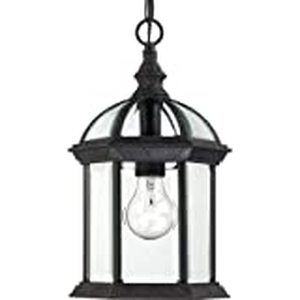 lot 116 image: Nuvo Lighting 604979 Boxwood One Light Hanging Lantern 100 Watt A19 Max. Clear Beveled Glass Textured Black Outdoor Fixture