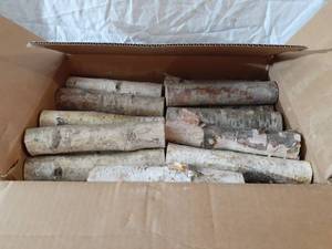 lot 1952 image: Wilson Enterprises White Birch fill a space logs