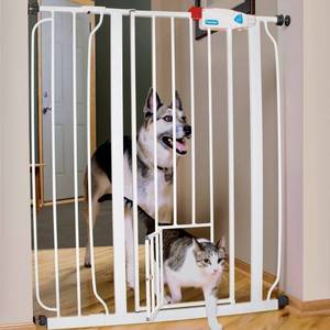 lot 8680 image: Carlson 36H Extra Tall Pet Gate with Small Pet Door