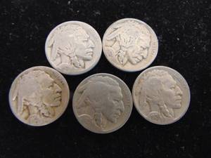 lot 1139 image: Buffalo Nickels - 5 -