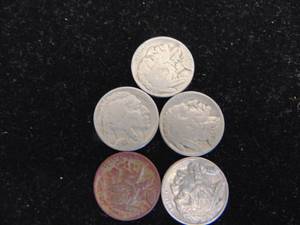 lot 1140 image: Buffalo Nickels - 5 -