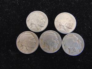 lot 1141 image: Buffalo Nickels - 5 -