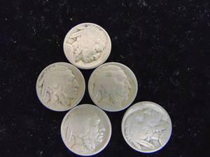 lot 1142 image: Buffalo Nickels - 5 -