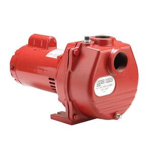 lot 5077 image: Red Lion RLSP-150 1-12-HP 50-GPM Cast Iron Sprinkler Pump