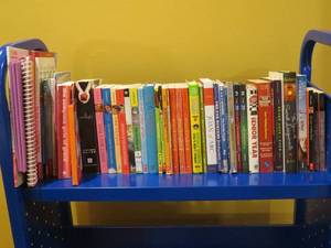 lot 7968 image: Large lot of young adult, youth books