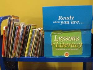 lot 7964 image: Huge lot of paperback childrens books and Lessons in Literacy