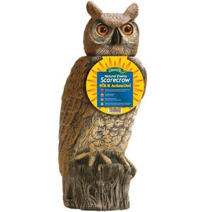 lot 1094 image: Dalen Gardeneer 100055888 Gardeneer by Dalen Solar Action Owl Natural Scarecrow Device, 18in, 18 in, Yellow