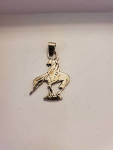 lot 5936 image: Sterling Silver - The end of the Trail - Necklace Pendent