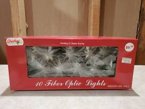lot 8884 image: 10 Fiber Optic Lights