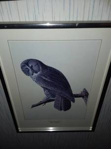 lot 1236 image: Great Gray Owl Framed Art 12 x 9 in