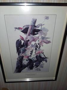 lot 1242 image: Pileated Woodpecker Framed Art 12 x 9 in