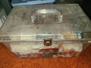 lot 2023 image: Clear Sewing Tote with Contents