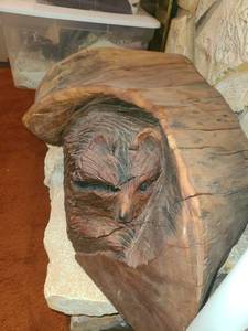 lot 2038 image: Carved Wood Racoon in Log Statue Decor 12 x 36 x 17 in