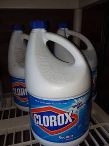 lot 3024 image: Clorox Bleach Lot of 3