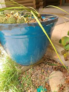lot 4000 image: Flower Pot - Turquoise in color. 20 inches tall and 22 inches in diameter