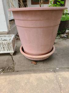 lot 4003 image: Flower Pot - Plastic 22 inches tall x 21 inches in diameter