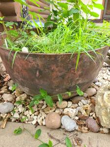 lot 4004 image: Flower Pot Cast Iron Pot. 14 inches tall x 26.5 inches in diameter