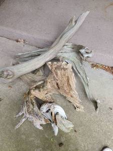 lot 4007 image: Drift Wood