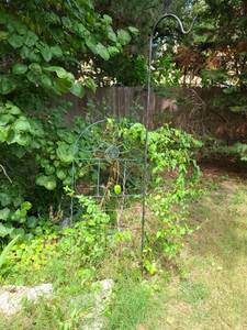 lot 4011 image: Shepard Hook and Small metal lattice. Hook is 6 ft. 6 and the lattice 4 ft 2
