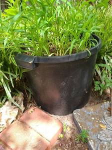 lot 4017 image: Flower Pot 15 inches tall x 18 in diameter