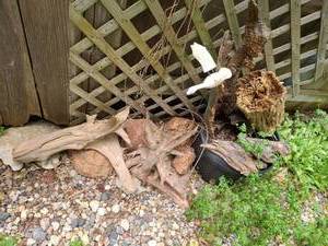 lot 4020 image: Flower Pot 10 inches tall x 18 inches in diameter with miscellaneous drift Wood pieces
