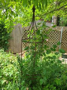 lot 4022 image: Garden trellis Approximately 6ft 2 tall