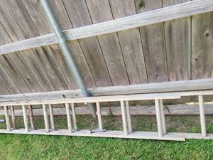 lot 4041 image: 12ft Extension Ladder