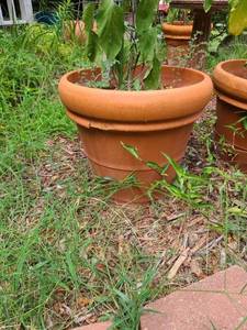 lot 4055 image: Flower Pot 16 inches tall x 18 in diameter