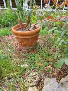 lot 4058 image: Flower Pot 18 inches tall x 18 in diameter
