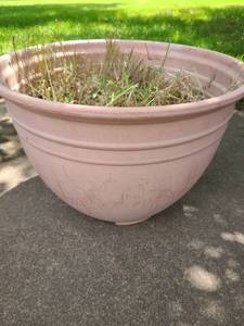 lot 4066 image: Flower Pot Medium size. 13tall x 19 in diameter