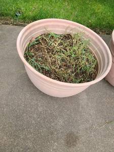 lot 4067 image: Flower Pot Medium size. 13 tall x 19  in diameter