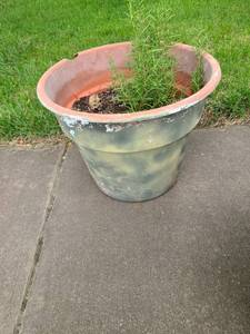 lot 4069 image: Flower Pot 12 tall x 15 in diameter