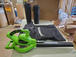 lot 11705 image: Greenworks leafblower