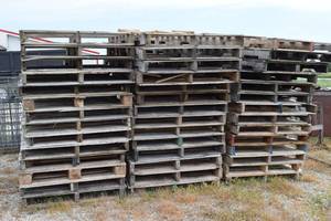 lot 11 image: Approximately 76 Pallets