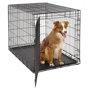 lot 2451 image: Large Dog Crate  MidWest Life Stages Folding Metal Dog Crate  Divider Panel, Floor Protecting Feet, Leak-Proof Dog Tray  42L x 28W x 31H Inches, Large Dog