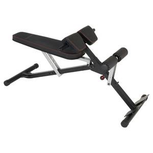 lot 2453 image: Fitness Reality X-Class Light Commercial Multi-Workout AbdominalHyper Back Extension Bench