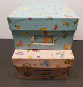 lot 8166 image: Two Fun Colletion Boxes