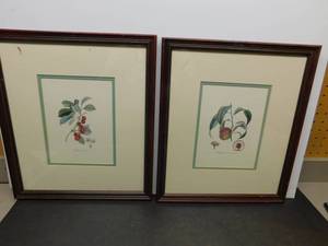 lot 9930 image: A Pair of Fruit Pictures