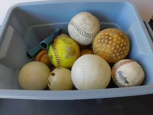 lot 9979 image: Container Full of Sports Equipment