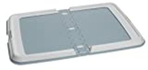 lot 75408 image: Iris Training Pad Tray, Blue- Extra Large, Grey