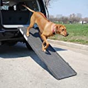 lot 75436 image: Original PetSTEP folding pet ramp - Gray