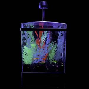 lot 76585 image: GloFish Aquarium Kit 1.5 Gallons, Easy Setup and Maintenance, Perfect Starter Tank, Model29236