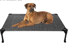 lot 1785 image: Veehoo Cooling Elevated Dog Bed