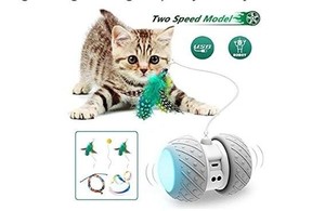 lot 1944 image: Interactive Robotic Cat Toys,Automatic Irregular USB Charging 360 Degree Self Rotating