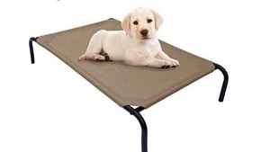 lot 1953 image: PHYEX Heavy Duty Steel-Framed Portable Elevated Pet Bed, Elevated Cooling Pet Cot, 50.5 L x 30.5 W x 7.8 H(L, Grey)