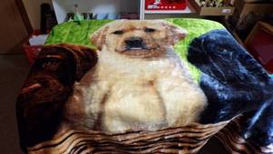 lot 7007 image: PLUSH LAP BLANKET - LABRADORS