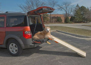 lot 3317 image: Petstep Original Folding Pet Ramp, KhakiBeige
